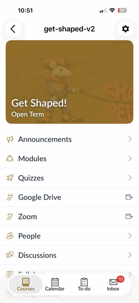 Canvas on Mobile